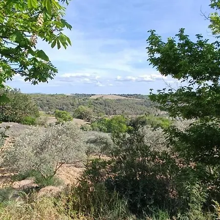 Cabanon L'olivier * Valensole
