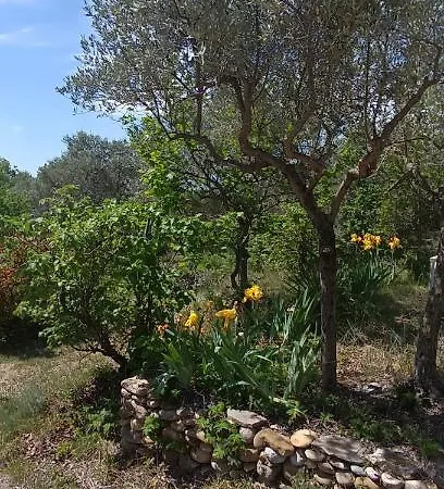 Cabanon L'olivier Feriehus Valensole