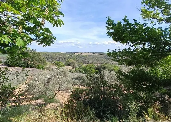 Cabanon L'olivier * Valensole