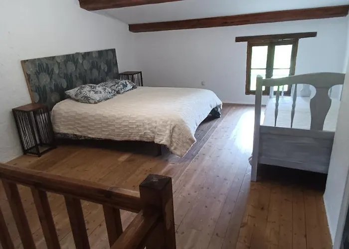 Ferienhaus Cabanon L'olivier *