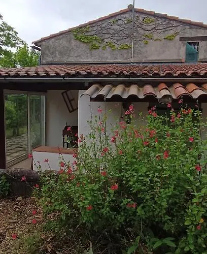 Ferienhaus Cabanon L'olivier Valensole